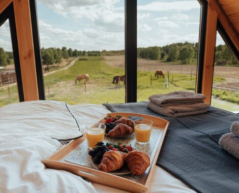 Sniadanie do łózna w pięknym, nowoczesnym domku - stodole z widokiem na pastwisko